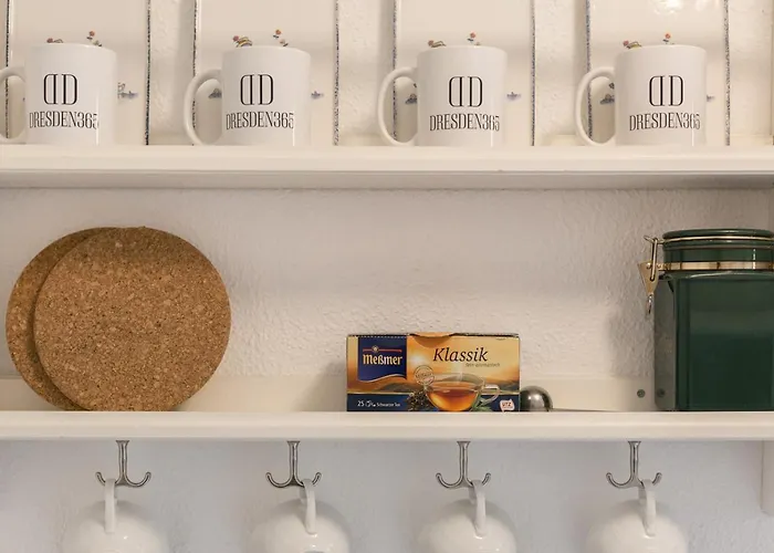 Lichtdurchflutetes Im Hechtviertel Daire Dresden